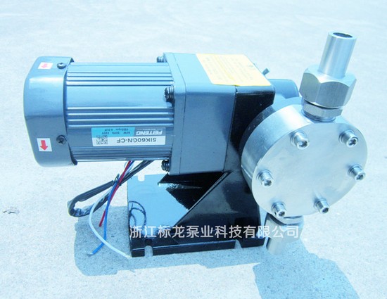 标龍計(jì)量泵 标(biāo)龍計量(liang)泵